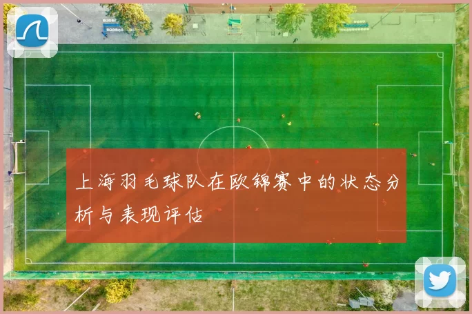 上海羽毛球队在欧锦赛中的状态分析与表现评估