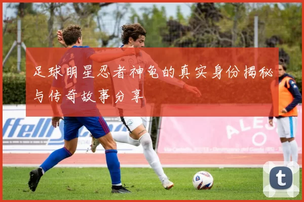 足球明星忍者神龟的真实身份揭秘与传奇故事分享