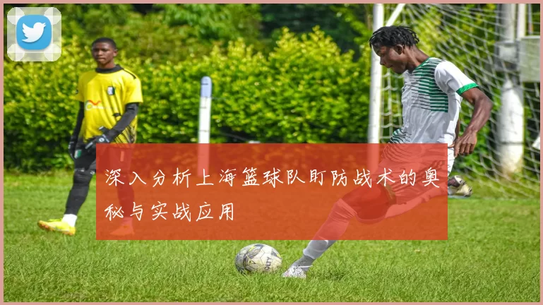 深入分析上海篮球队盯防战术的奥秘与实战应用