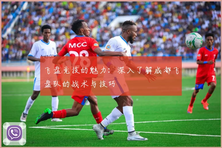 飞盘竞技的魅力：深入了解成都飞盘队的战术与技巧