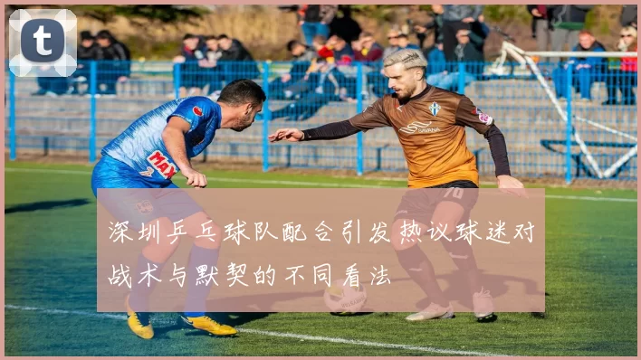 深圳乒乓球队配合引发热议球迷对战术与默契的不同看法