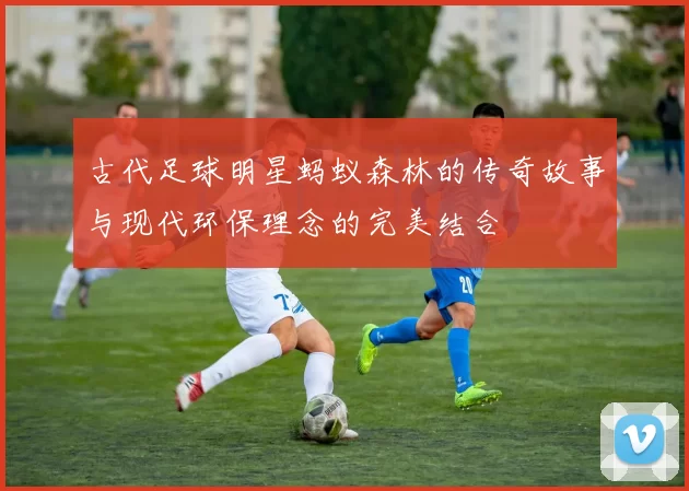 古代足球明星蚂蚁森林的传奇故事与现代环保理念的完美结合