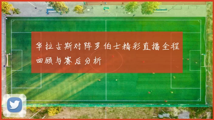 华拉古斯对阵罗伯士精彩直播全程回顾与赛后分析