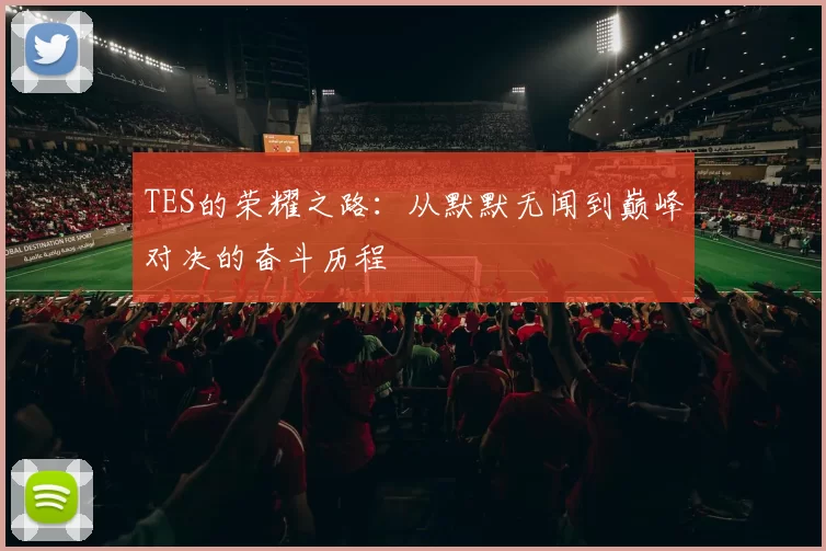 TES的荣耀之路：从默默无闻到巅峰对决的奋斗历程