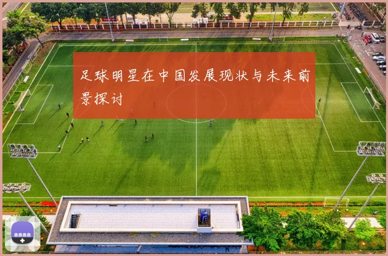 足球明星在中国发展现状与未来前景探讨