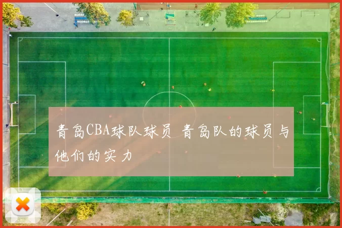 青岛CBA球队球员 青岛队的球员与他们的实力