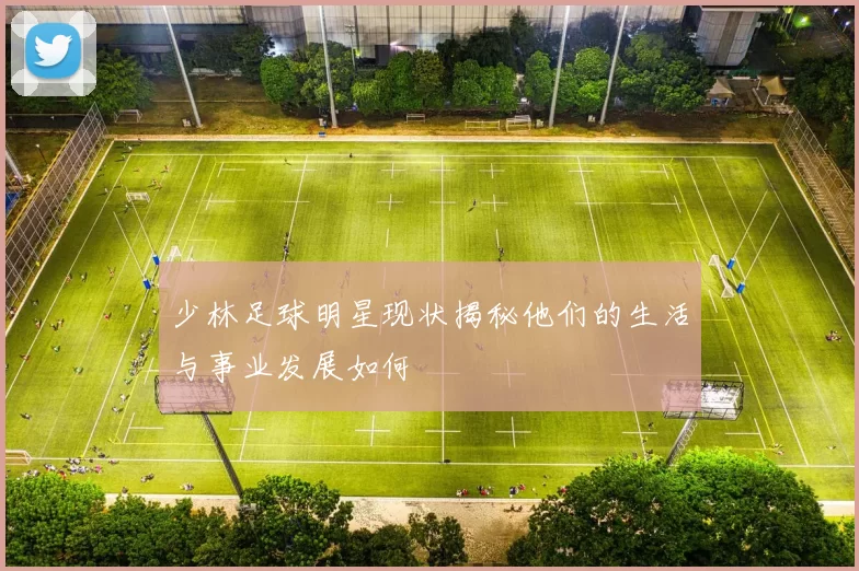 少林足球明星现状揭秘他们的生活与事业发展如何