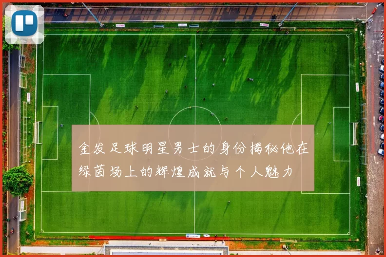 金发足球明星男士的身份揭秘他在绿茵场上的辉煌成就与个人魅力