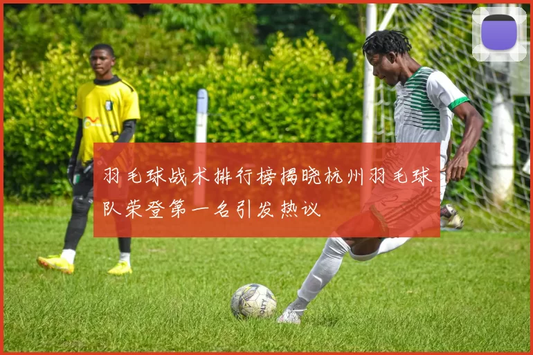 羽毛球战术排行榜揭晓杭州羽毛球队荣登第一名引发热议