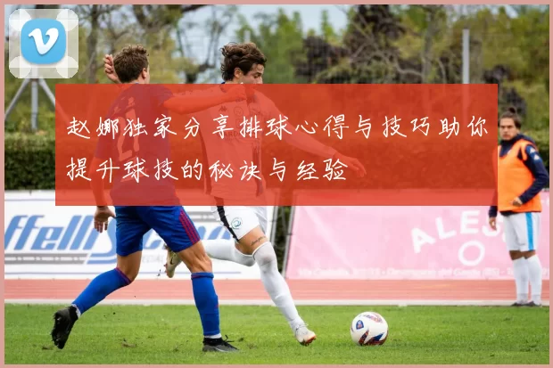 赵娜独家分享排球心得与技巧助你提升球技的秘诀与经验