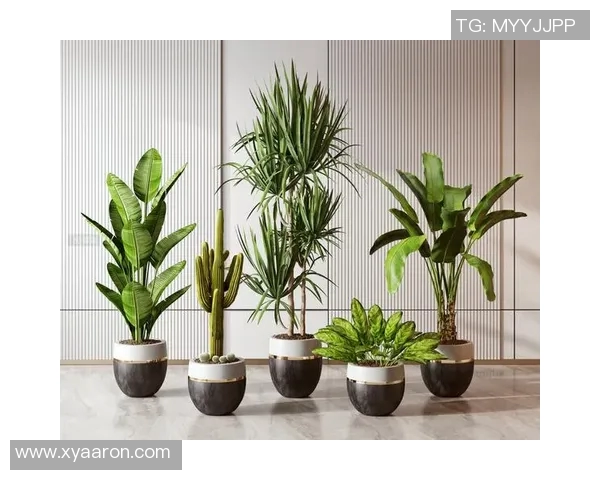 创意盆栽装饰:如何通过盆栽打造绿色生活空间与家居艺术气息 创意盆栽装饰:如何通过盆栽打造绿色生活空间与家居艺术气息