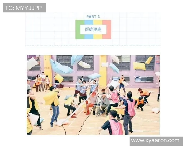 打造全面运动体验平台助力体育爱好者实现健康与竞技双重目标