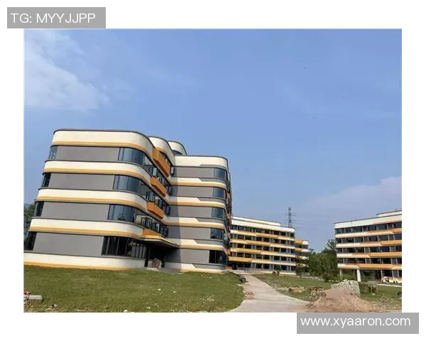 青衣运动场：城市新地标打造与文化体育融合发展新篇章