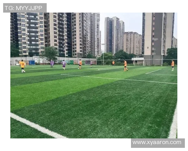 南京足球队的默契配合揭秘与战术分析带你走进绿茵场的精彩瞬间