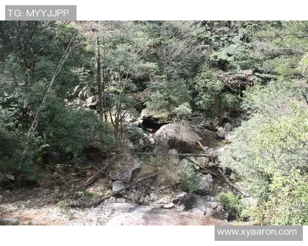 刘静独家分享攀岩技巧与心得体会助你轻松征服高峰