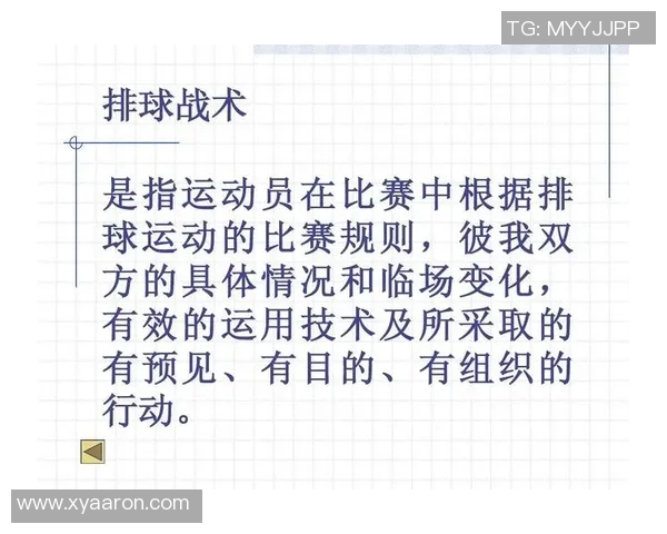 成都排球队灵活性对比分析及其对战术调整的影响探讨 成都排球队灵活性对比分析及其对战术调整的影响探讨