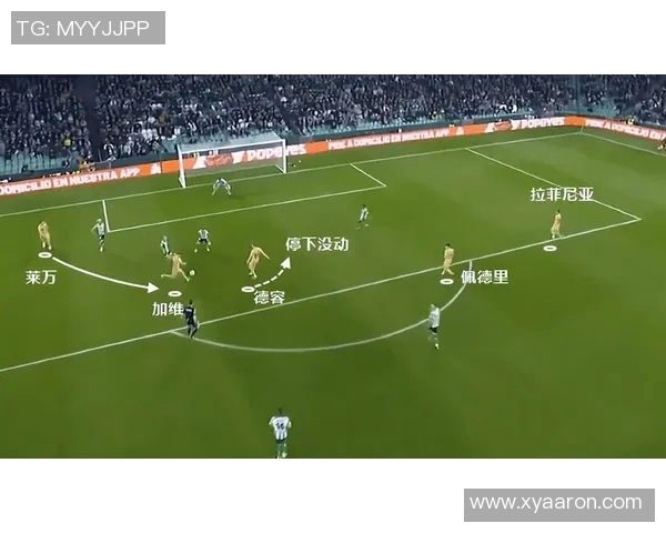 杭州网球队整体压制打法深度解析与战术优势探讨