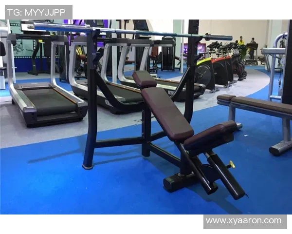 诺什么健身器材品牌特点及用户使用体验