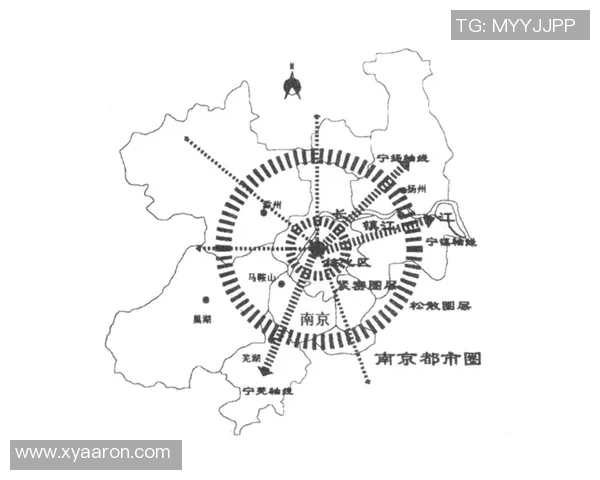 职业联赛发展趋势分析及其对经济、文化与社会的深远影响